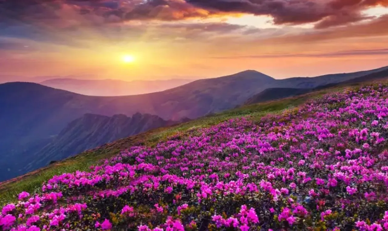 great view in the mountains